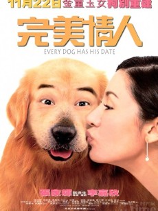 完美情人海报