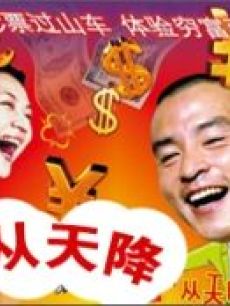 喜从天降海报