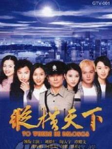 纵横天下海报